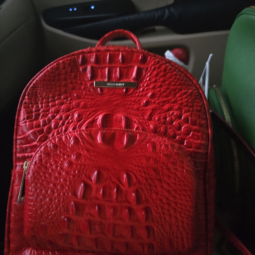 Red Textured Backpack